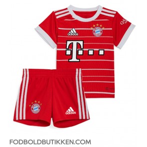 Bayern Munich Alphonso Davies #19 Hjemmebanetrøje Børn 2022-23 Kortærmet (+ Korte bukser)